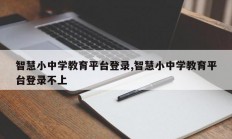 智慧小中学教育平台登录,智慧小中学教育平台登录不上