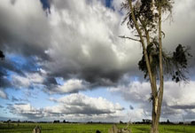 学校评价表上自我评价怎么写好初中,学校评语自己